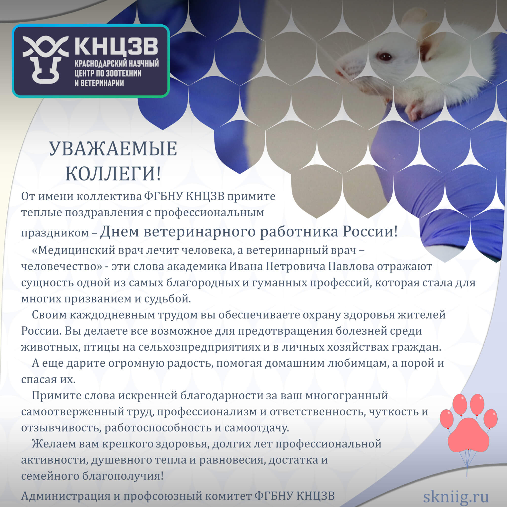 День ветеринарного работника