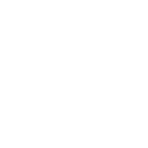 website icon