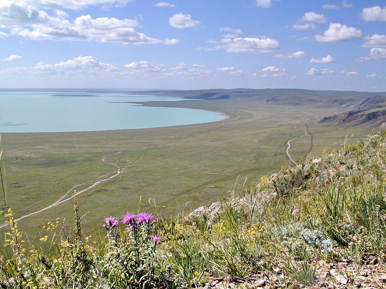 Даурский заповедник фото