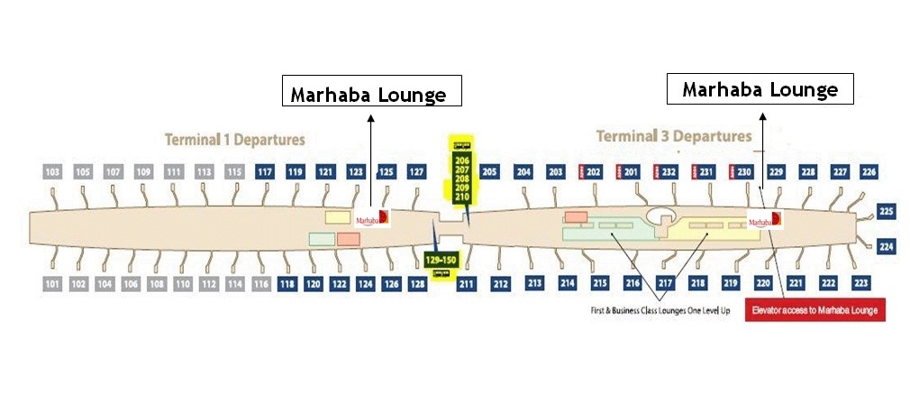 Схема аэропорта dxb