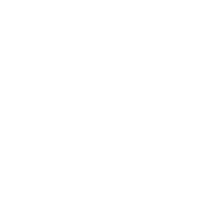 website icon