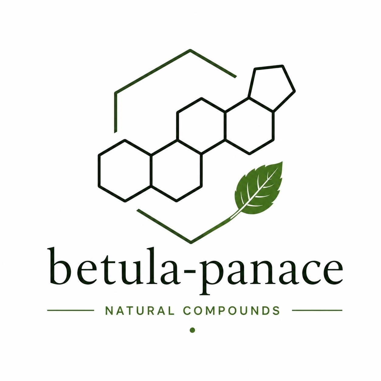 betula-panace