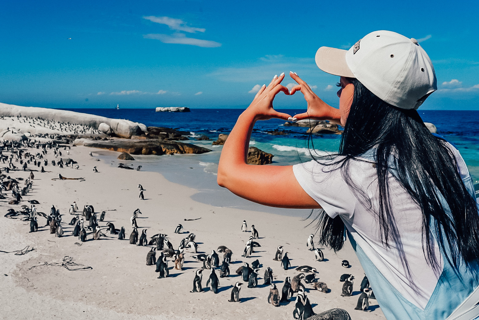 Unique tour. ЮАР пингвины на пляже. Кейптаун пингвины пляж. Авторские путешествия. Красивая картинка мыс доброй надежды.