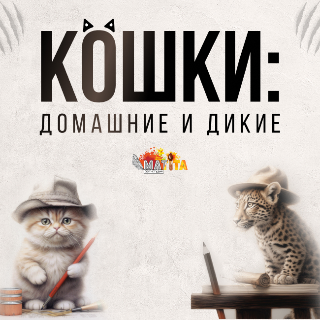 online-matita.ru