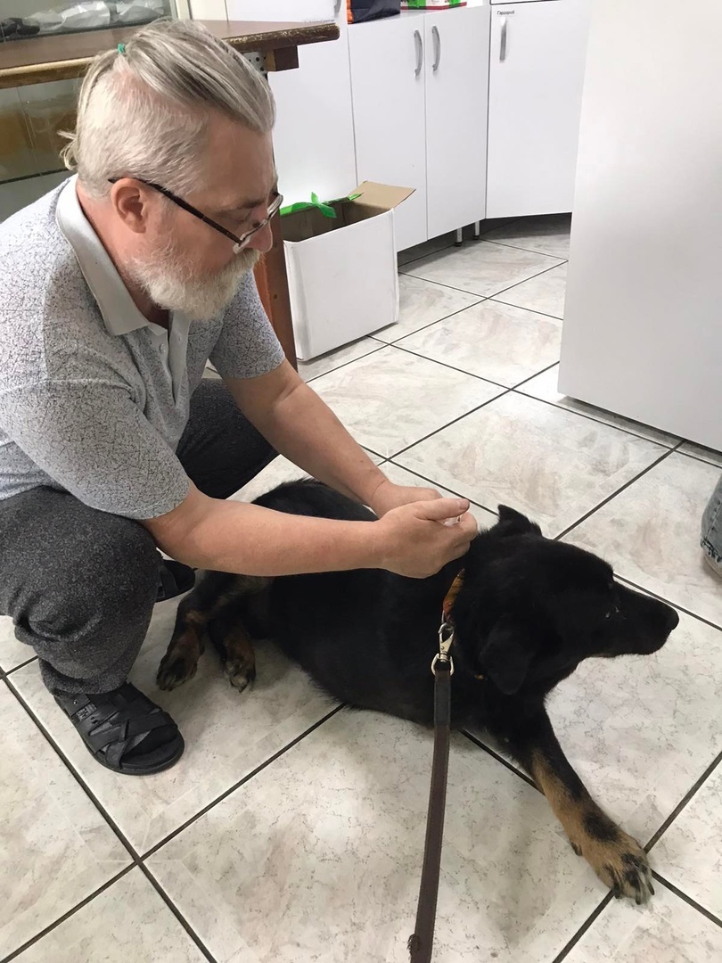 Степан-Степаныч