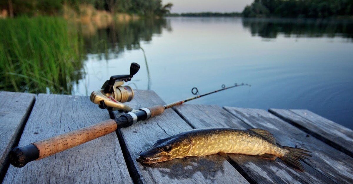 Рыбалка на реке Искона