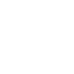 Портретная экспертиза