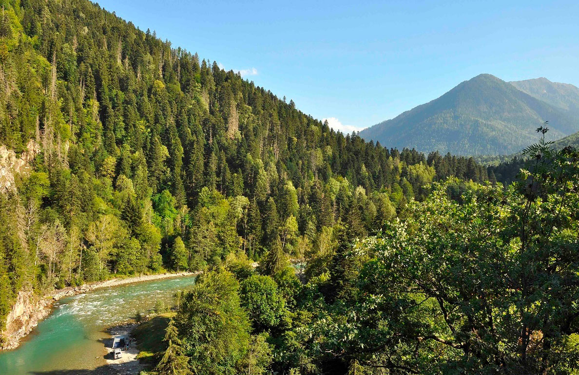 Дамхурц база отдыха фото