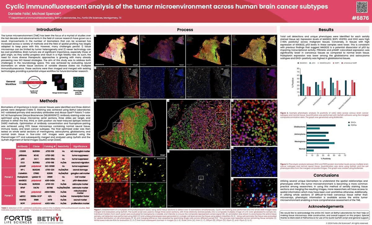 Cyclic Immunofluorescent Analysis of Brain Cancer Subtypes