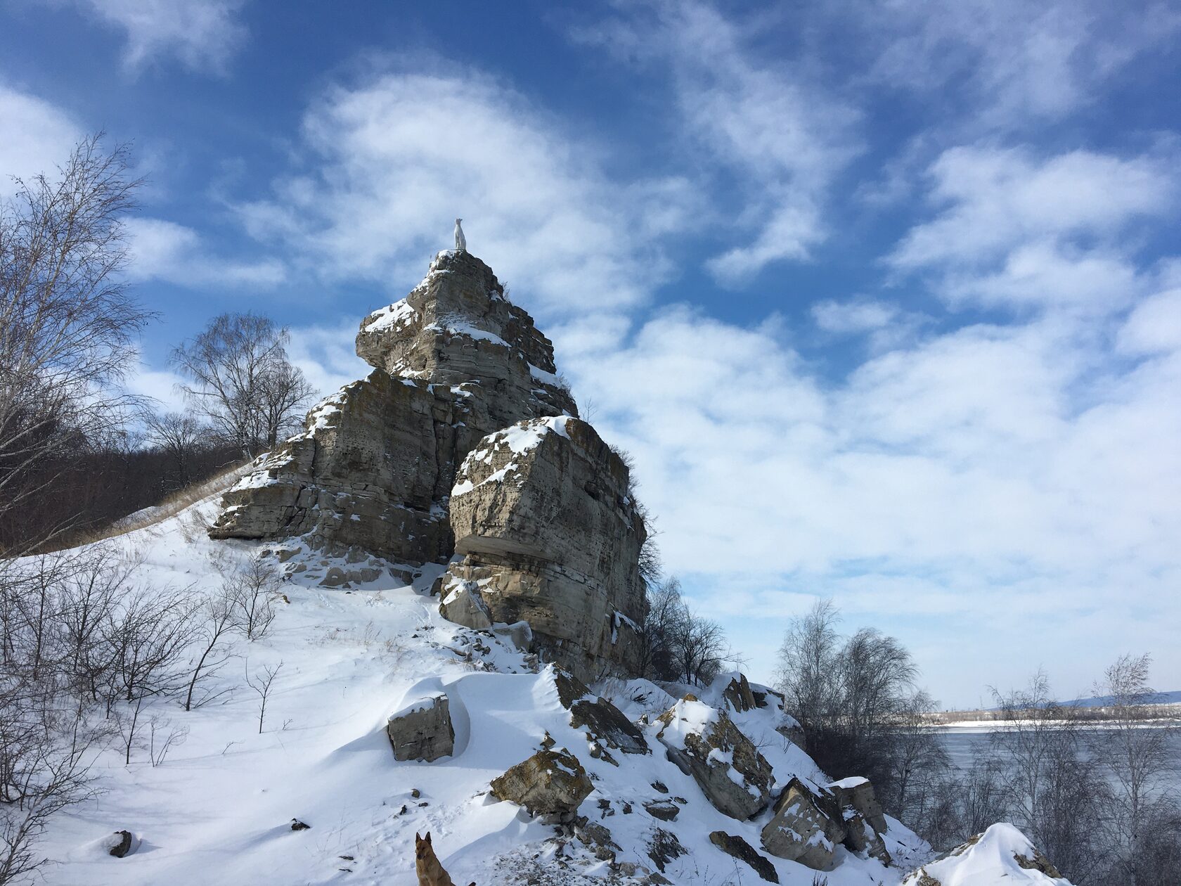 Могутова гора Самарская