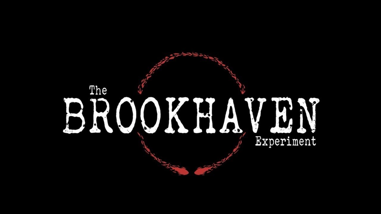 Brookhaven game. Brookhaven. Логотип Brookhaven. Brookhaven надпись.