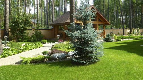 Благоустройство загородных участков в Санкт-Петербурге и Ленинградской ...