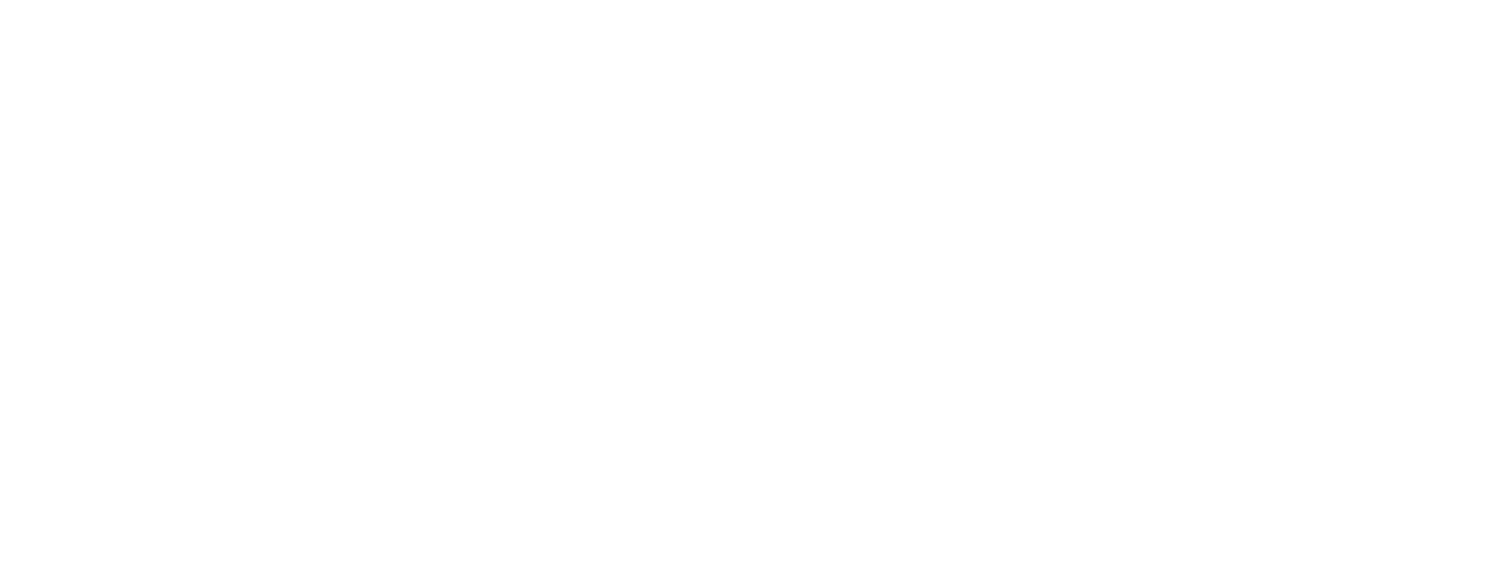  STANOV Group 