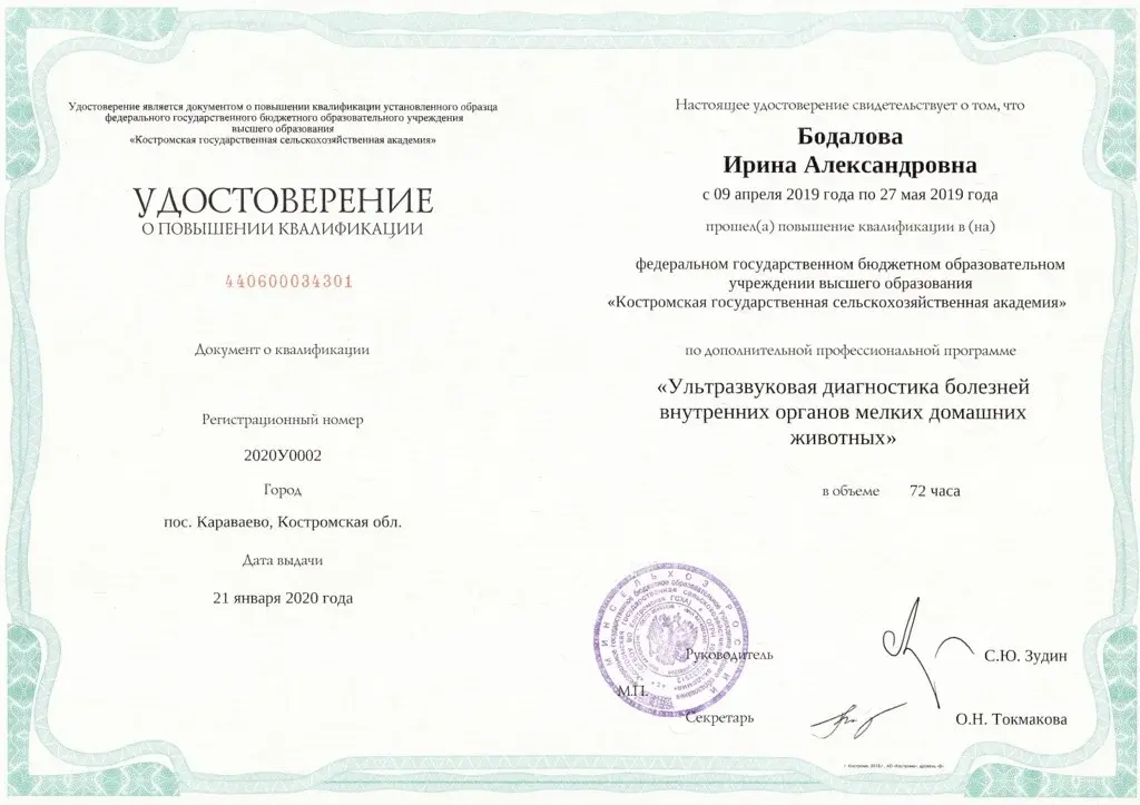 Удостоверение Бодалова И.А.