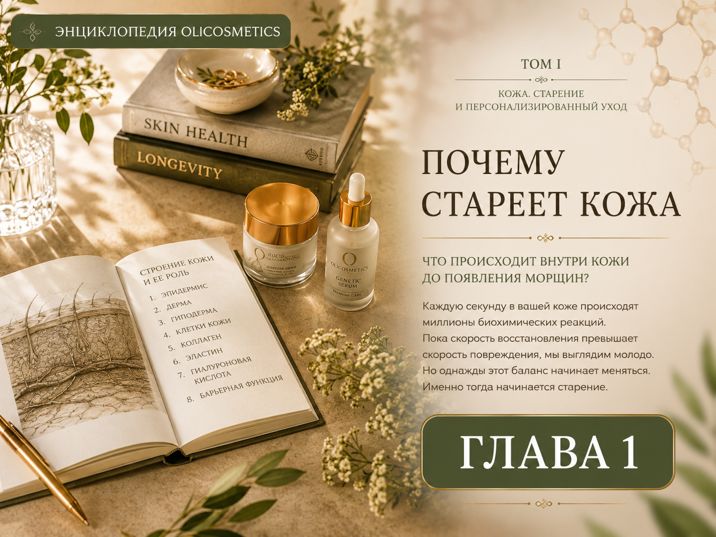 Глава 1 Энциклопедии olicosmetics Почему стареет кожа. Научный взгляд на механизмы старения кожи и причины появления морщин.
