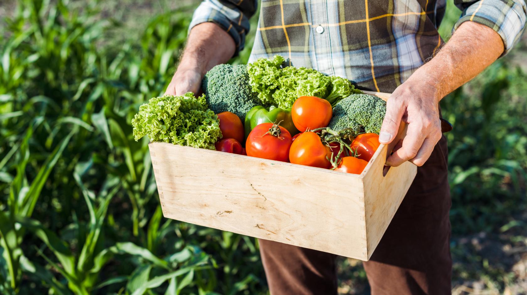 Wordwall vegetables. Organic food. Farmers carry.