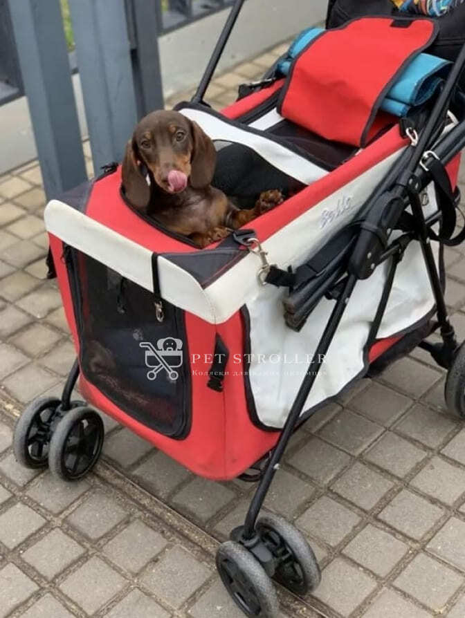 Коляска прогулочная для собак bl09 отзывы