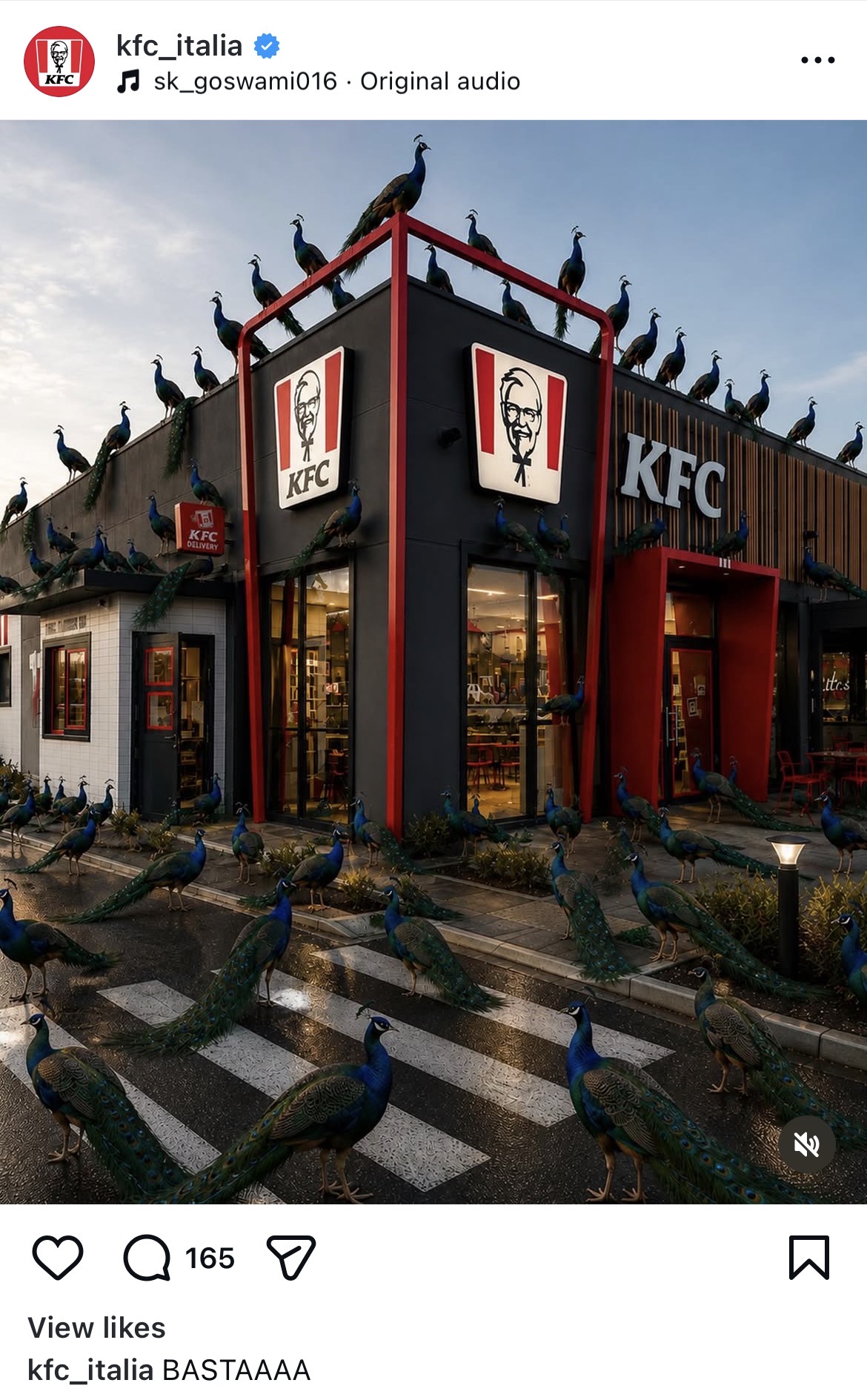 KFC peacocks