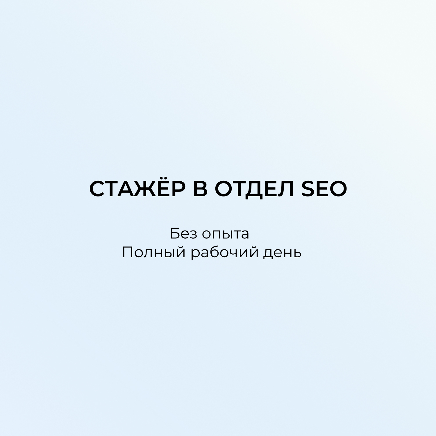 Хорошие условия стажировки любого сео специалиста в компании ИП Павлович. 