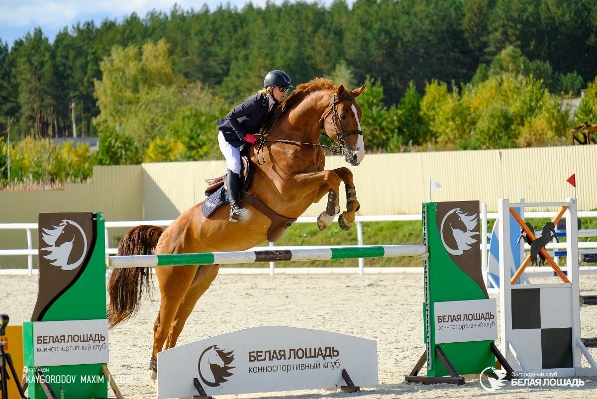 Horse екатеринбург. КСК белая лошадь Кадниково. Кадниково Свердловская белая лошадь. КСК белая лошадь Екатеринбург. Белая лошадь Екатеринбург загородный клуб.