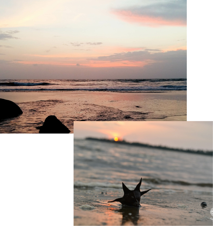 экскурсия Морская прогулка