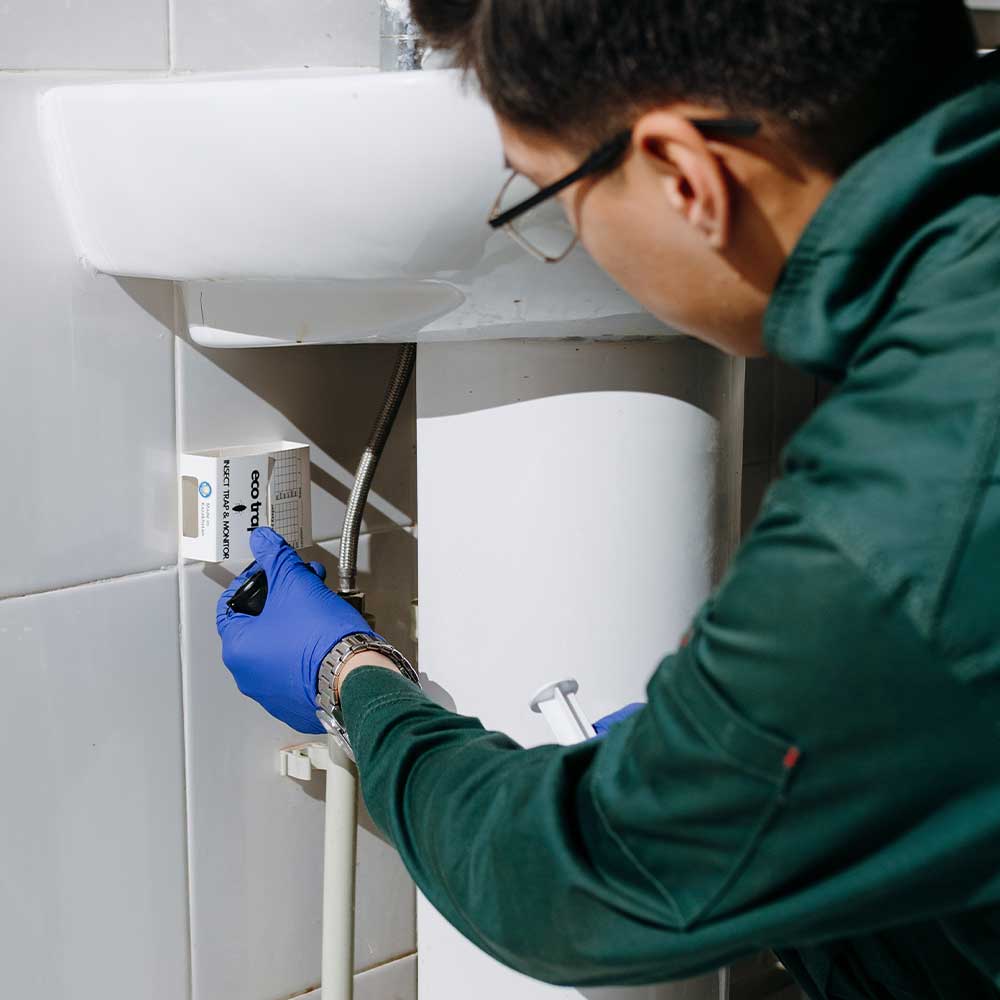 травля тараканов