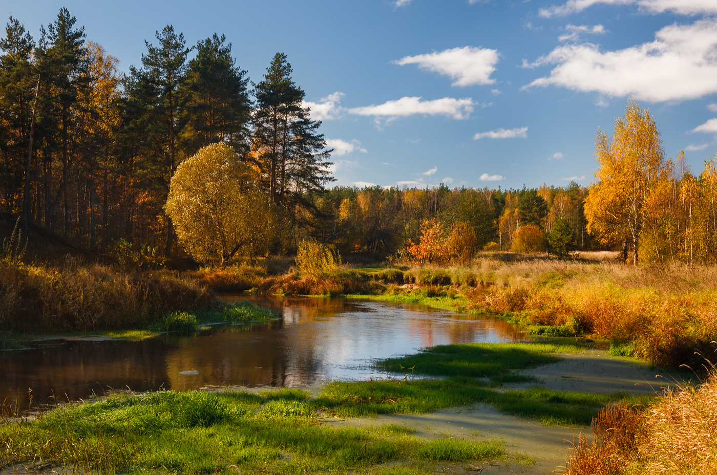 Красоты подмосковья фото