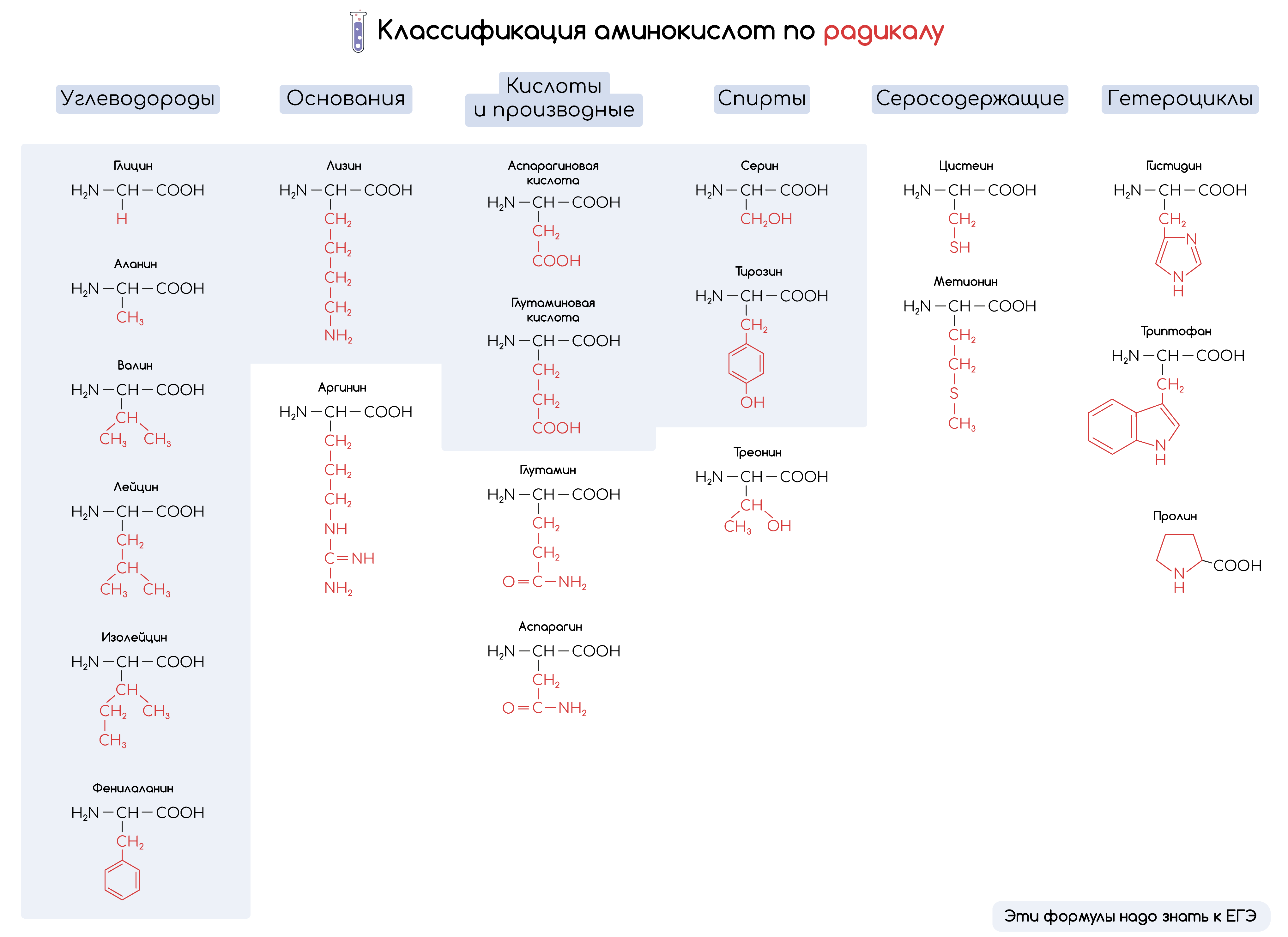 Аланин функциональная группа. 20 Аминокислот формулы. 20 Стандартных аминокислот формула. Аминокислоты формулы ЕГЭ. Формулы 20 аминокислот таблица.