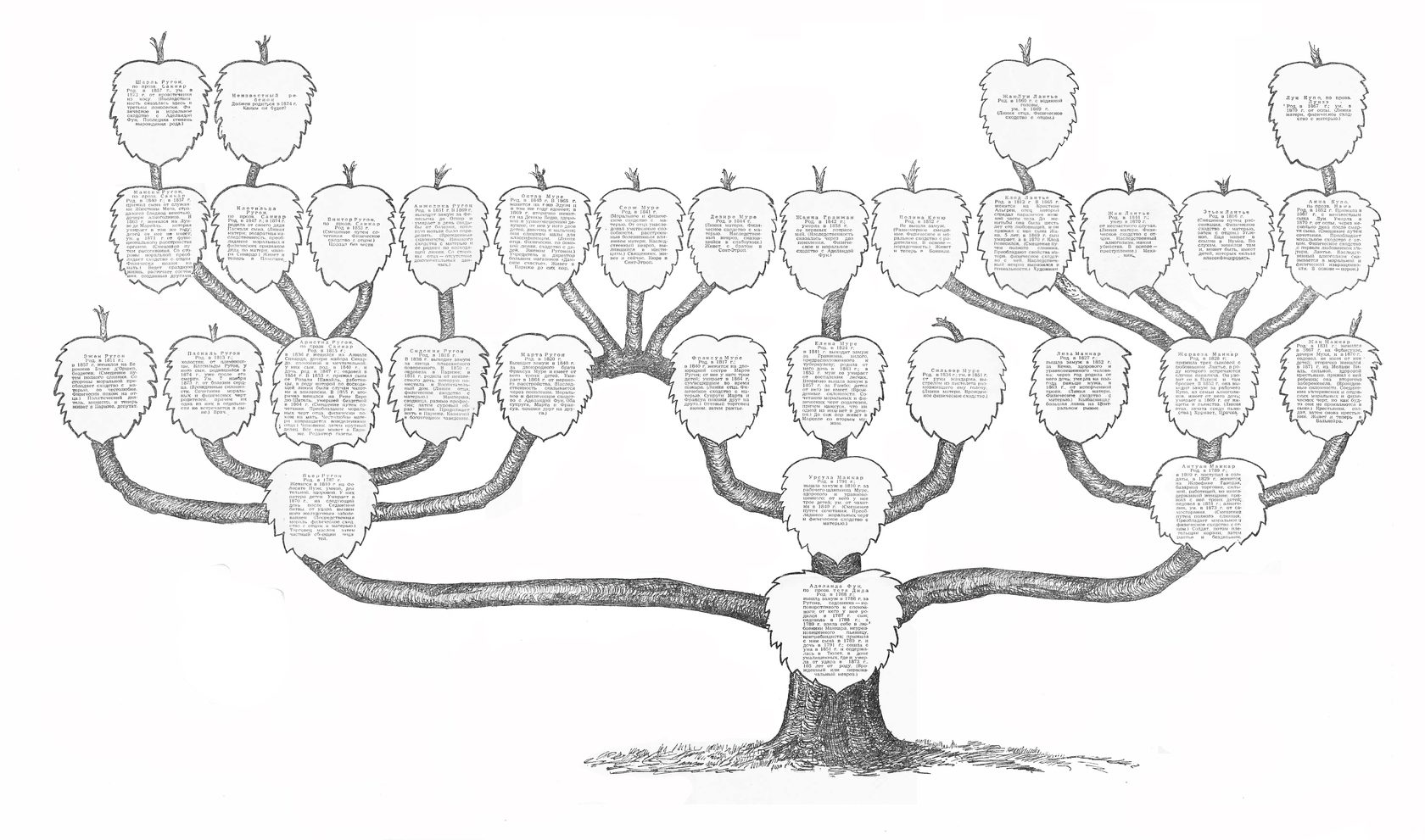 Пример генеалогического древа семьи. Генеалогическое Древо Ругон-Маккаров. Ругон Маккары генеалогическое дерево. Семейное Древо Ругон Маккаров. Родословная генетическая дерево.