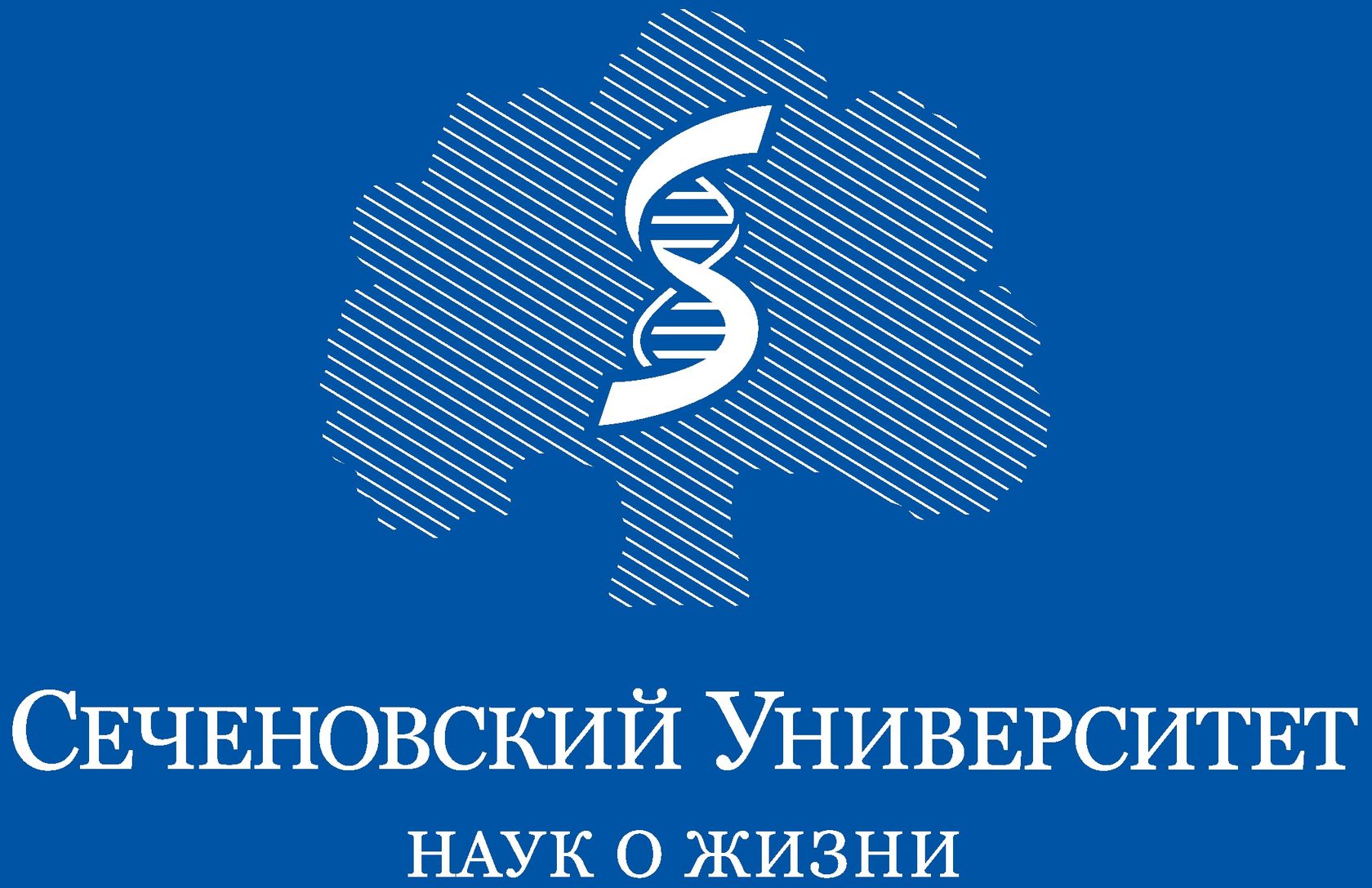 Шаблон презентации сеченовский университет