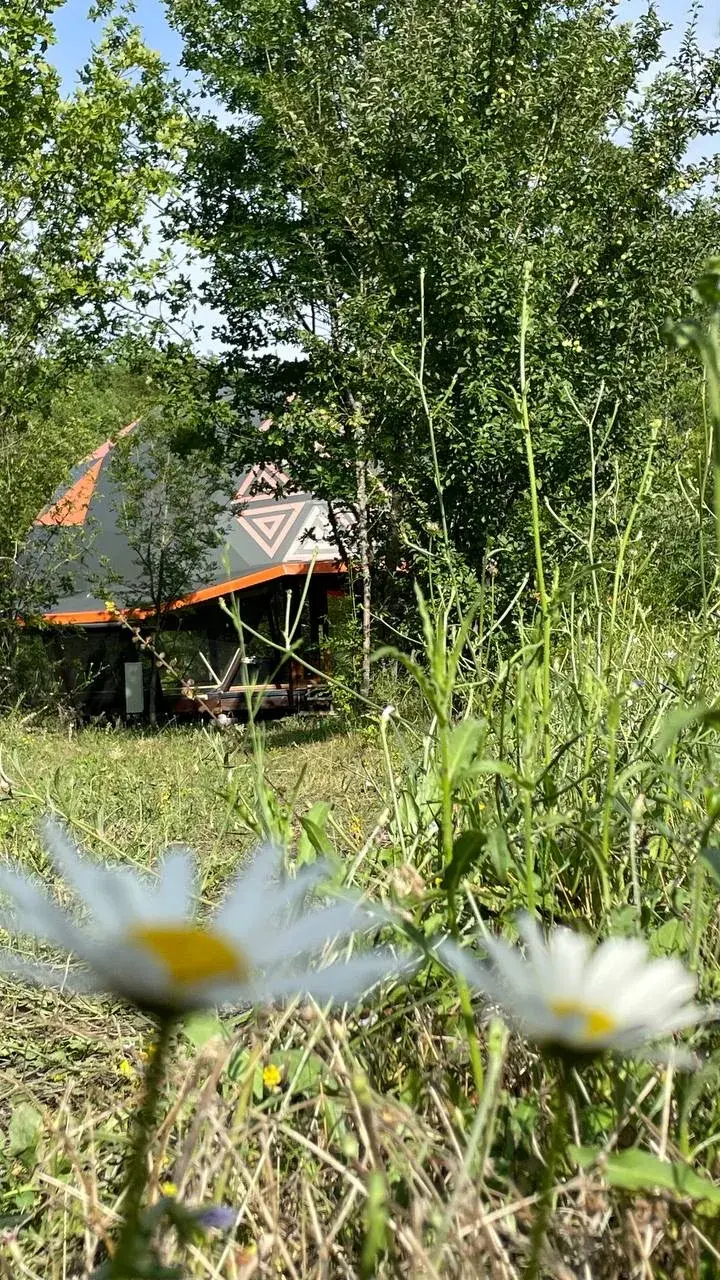 Эко-домик среди зелени и цветов