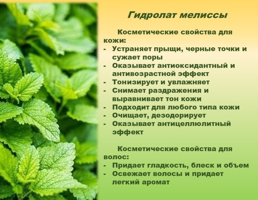 Гидролат клевера