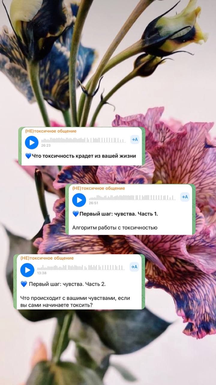 Аудиолекции в телеграм канале «{НЕ}токсичное общение»