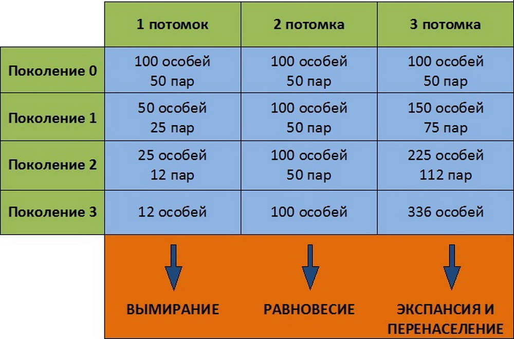 Поколений особей