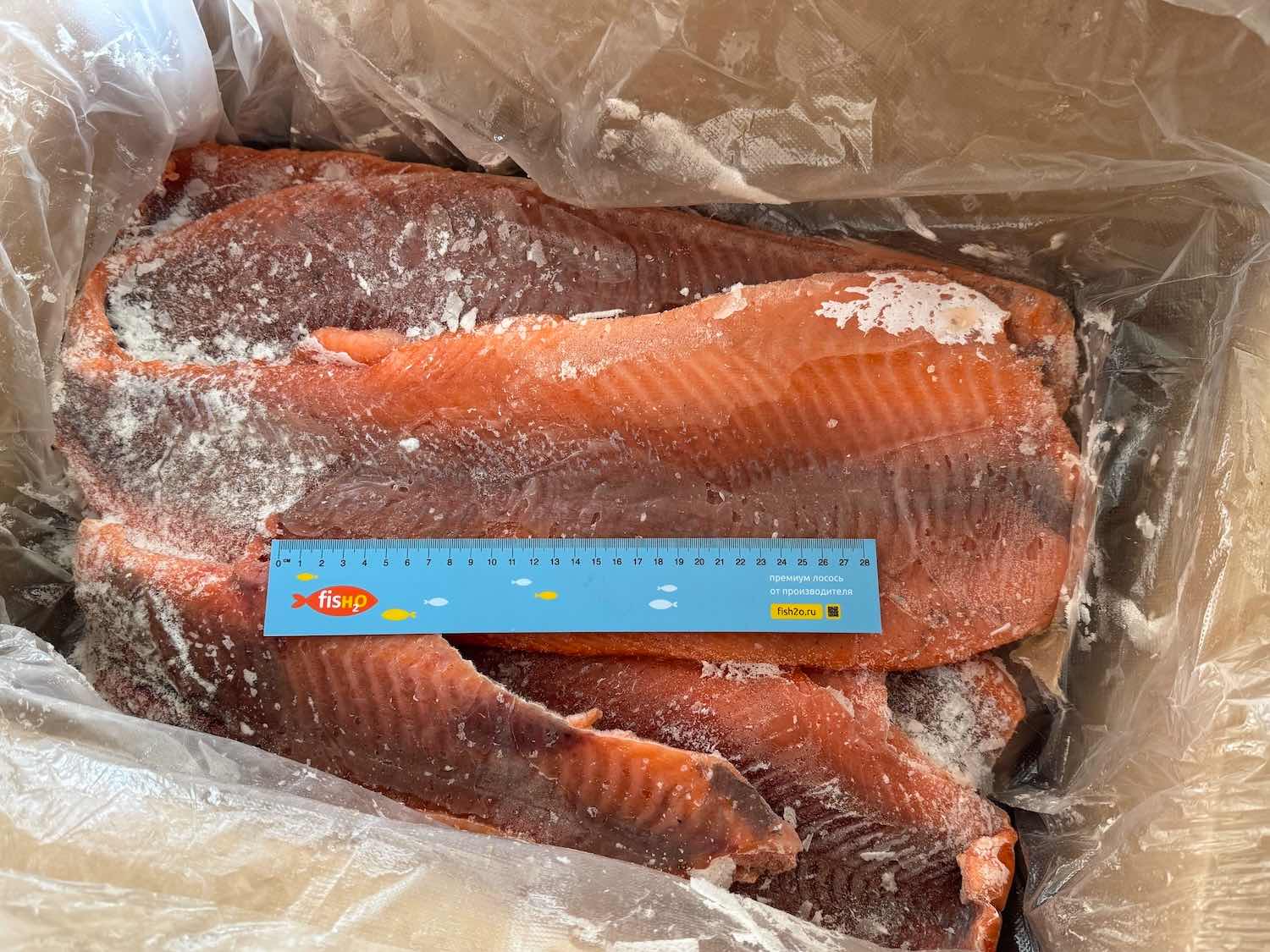 Кусочки филе семги без кожи и кости, крупный план