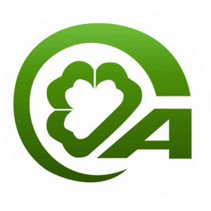 website icon
