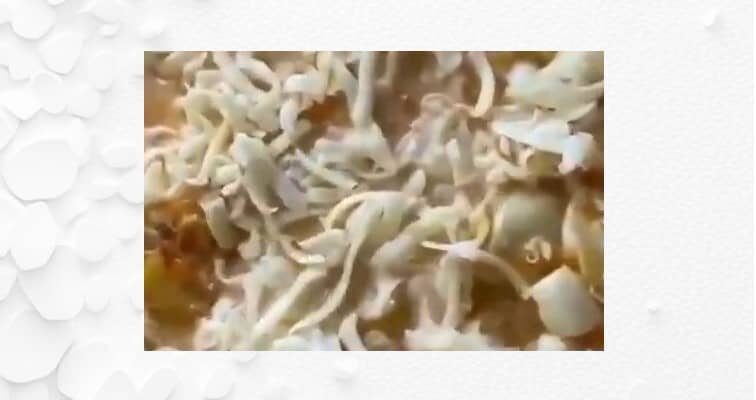 Приготовление пельменей по-царски в духовке: шаг 5