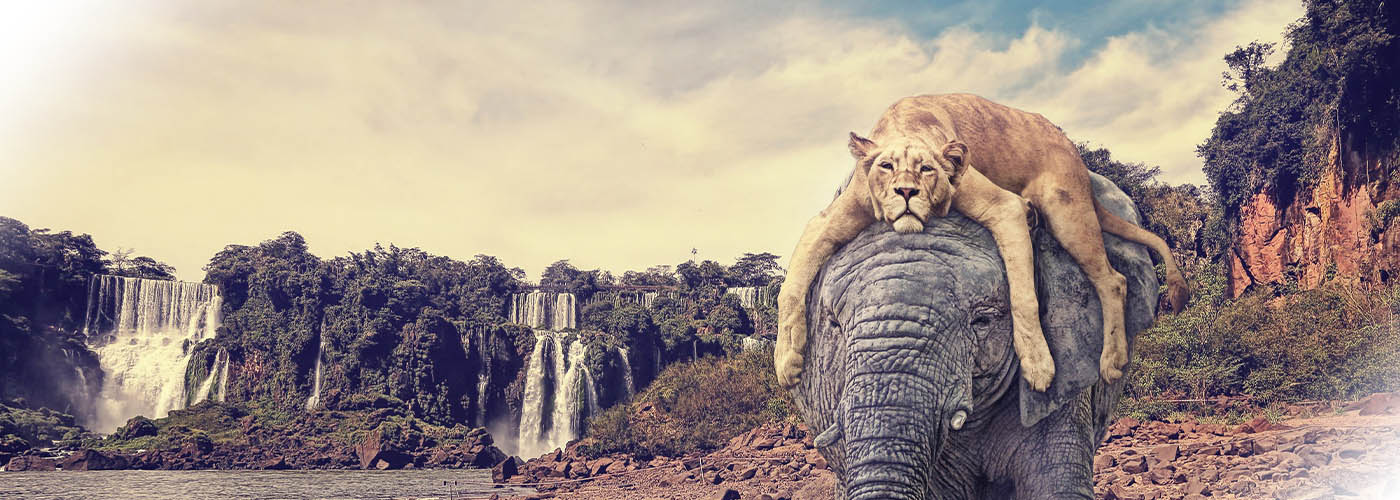 психология подростка