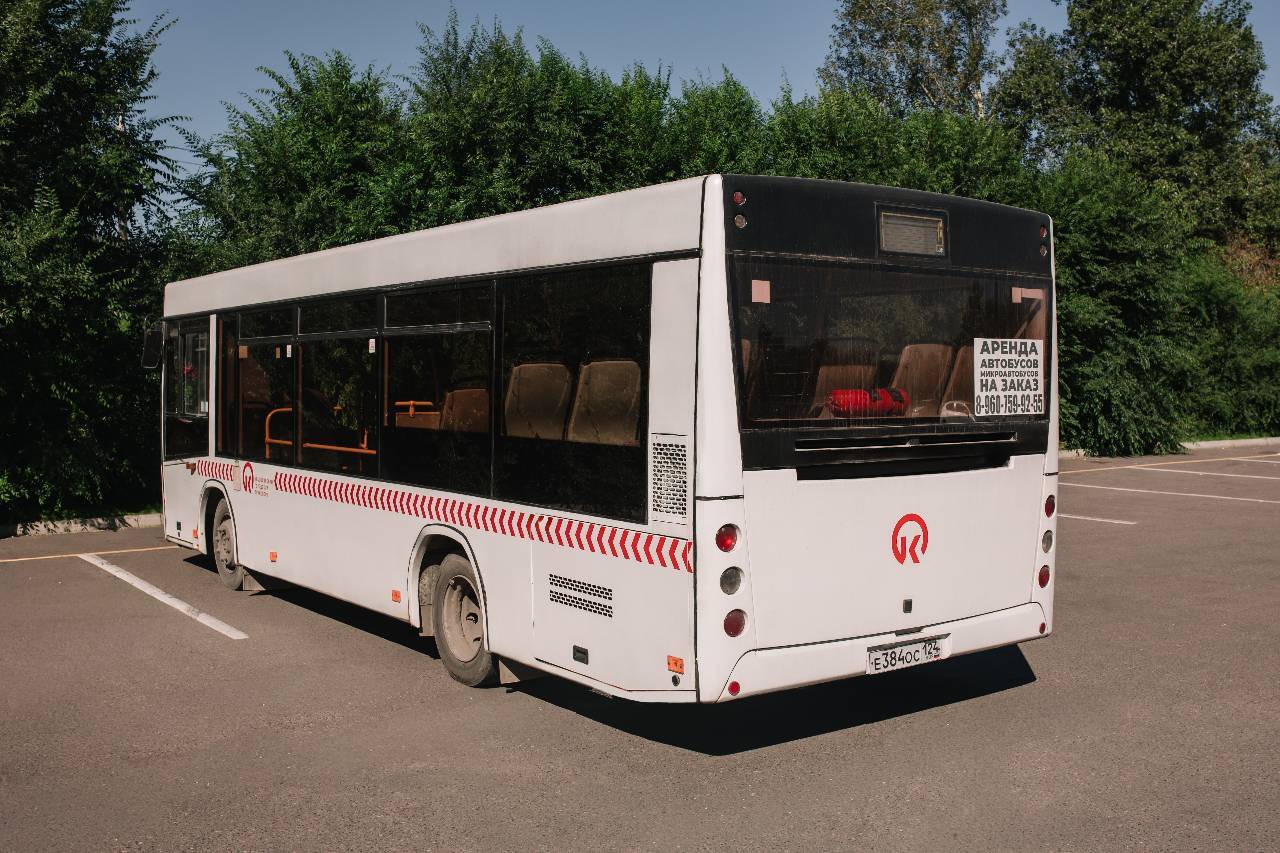 МАЗ 206 1