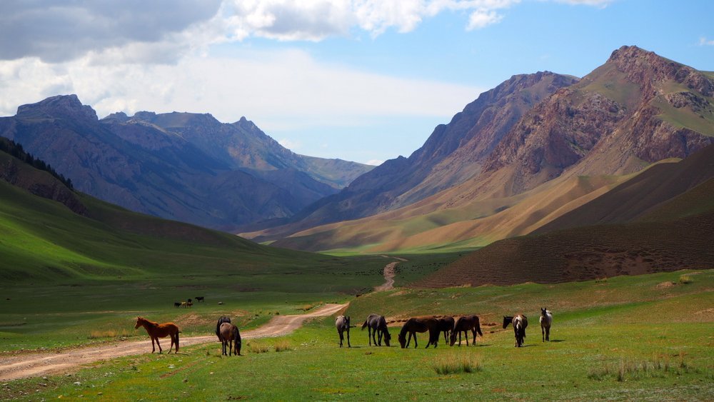 Киргизия кратко. Джайлоо Киргизия. Кыргызстан горы джайлоо. Тянь-Шань лошади Киргизии. Горный джайлоо Памир Алтай.