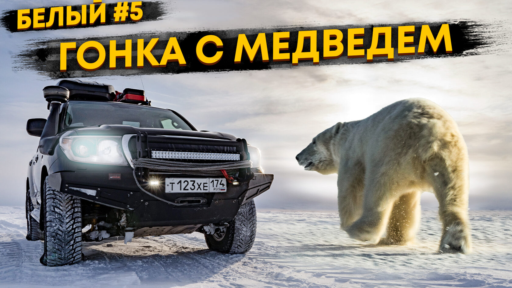 Какая скорость у белого медведя