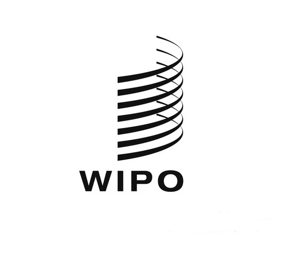 Wipo patentscope это что