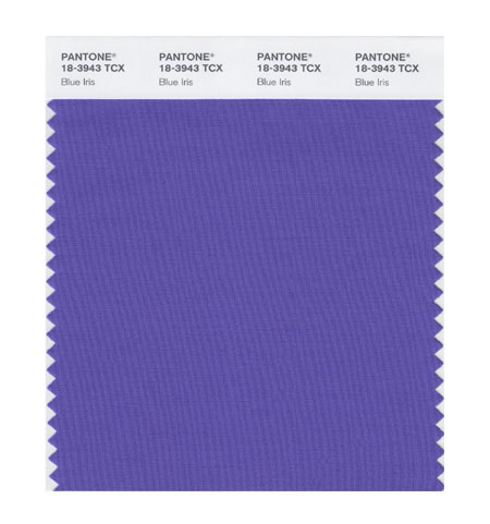 Модерният цвят на 2008 г. е бил син ирис, смесица между синьо и лилаво