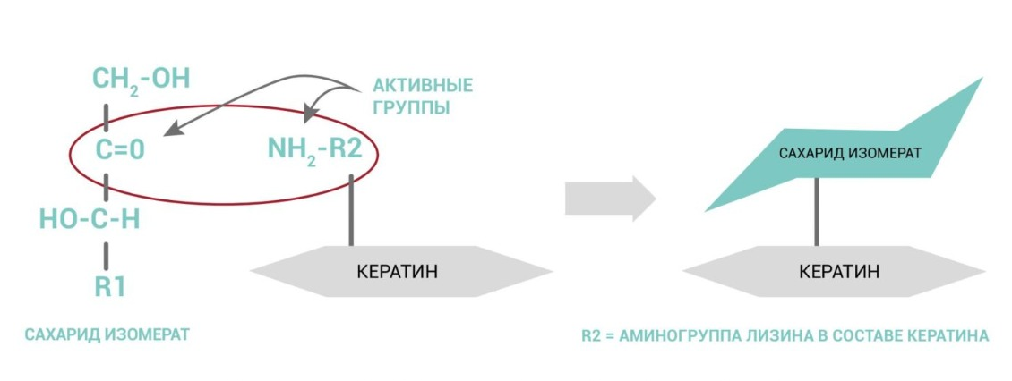Рисунок 3. Схема взаимодействия сахарид изомерата с аминогруппой лизина в составе кератина