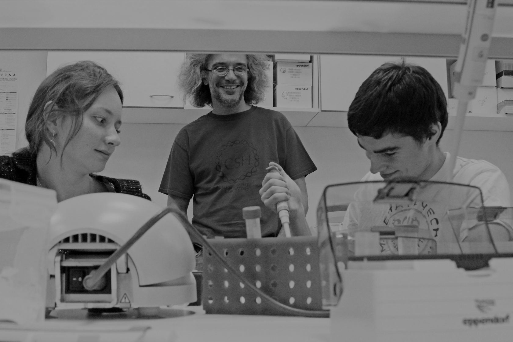 Биотехнология (Науки о жизни)