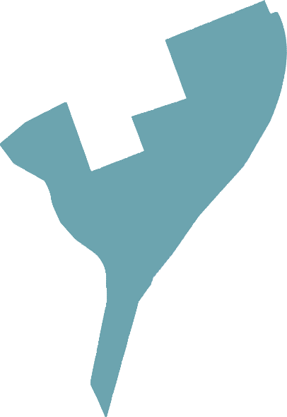 Новая жизнь Започаинья