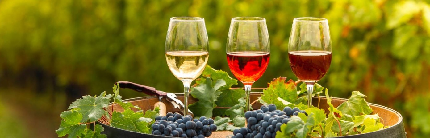 Куда хотите отправиться на вечер?