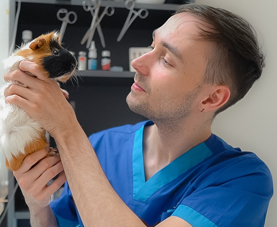 Консультация владельцев