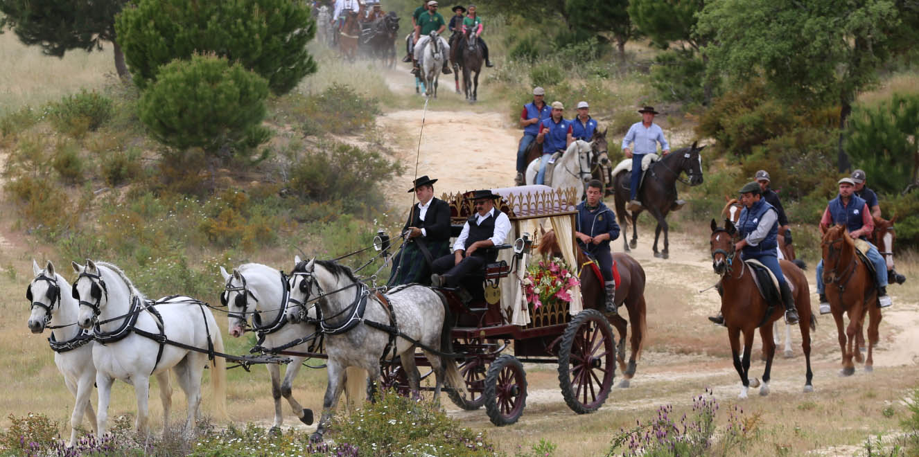 Romaria a Cavalo