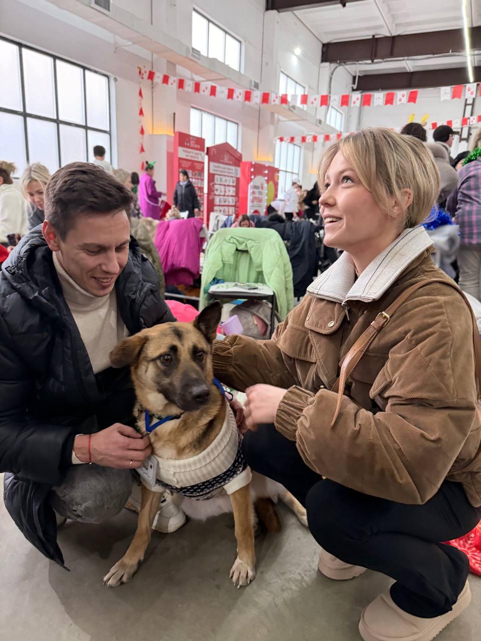 Ученица RIS передает помощь животным из приюта